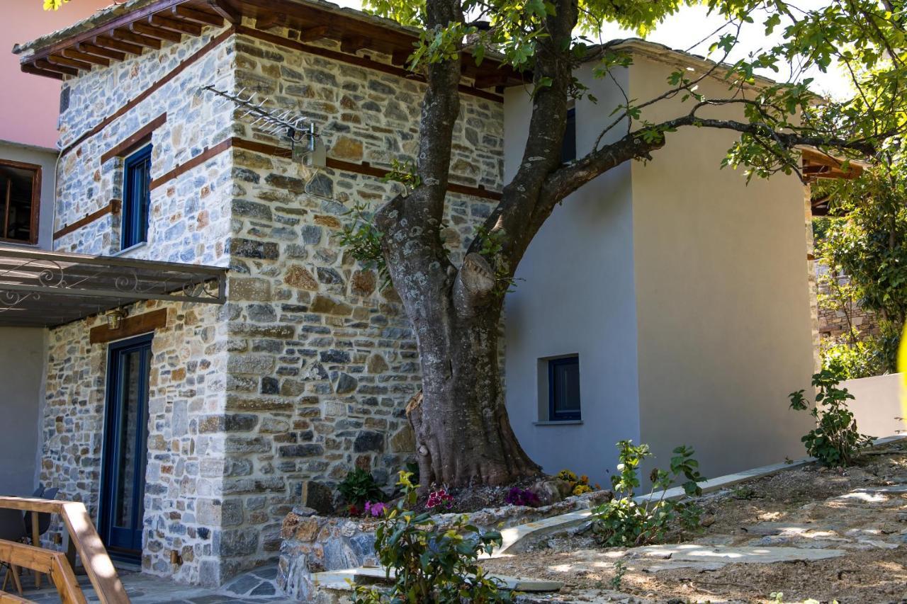 Guesthouse Iris Цагарада Екстериор снимка