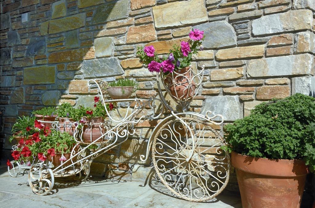 Guesthouse Iris Цагарада Екстериор снимка